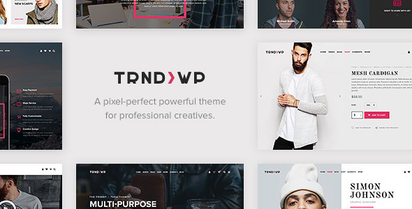 Trendy - Creative Multi-Purpose WordPress Theme.jpg