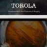 Torola Modern Photography Theme