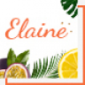Elaine - Modern Beauty WordPress Theme